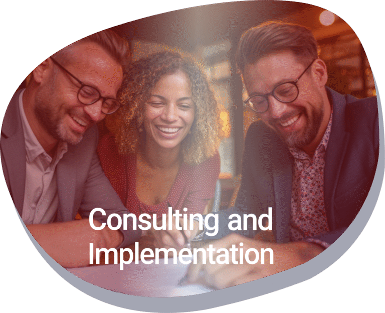 Consulting and Implementation